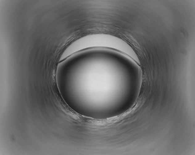 X0000110900045200906181331