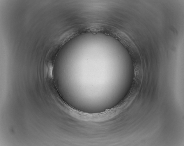 X0000110900046200906181331