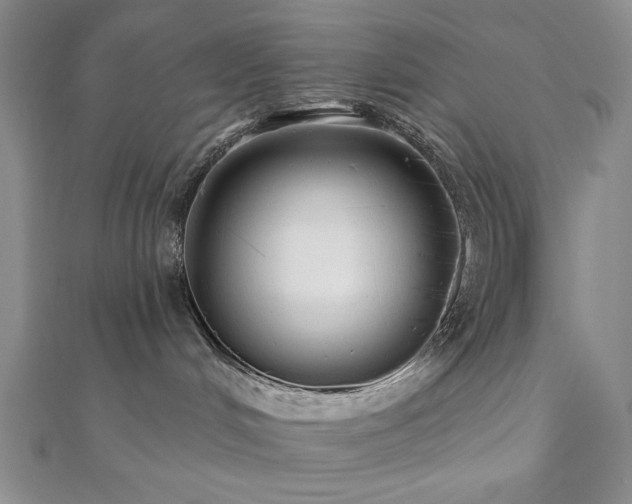 X0000110900048200906181331