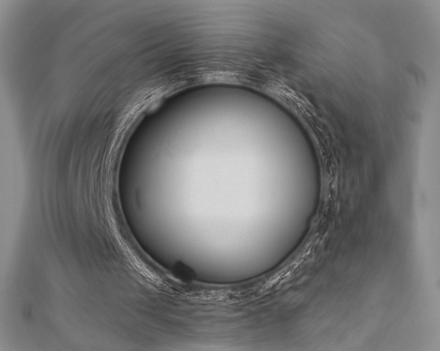 X0000110900049200906181331