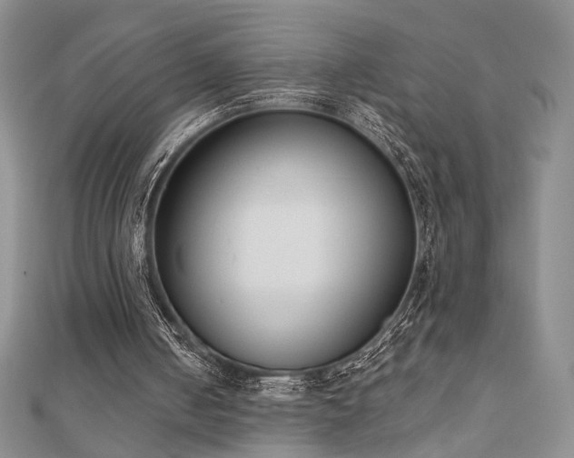 X0000110900050200906181331