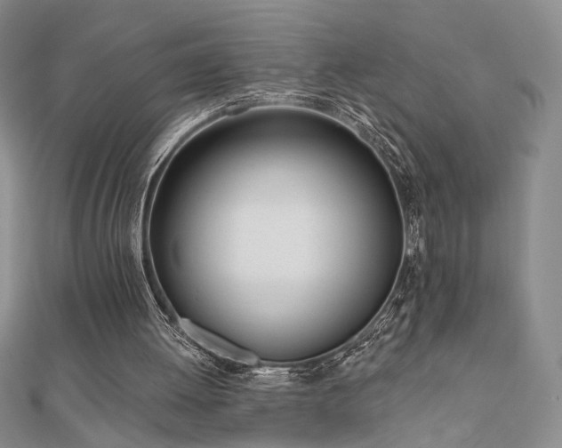 X0000110900052200906181331