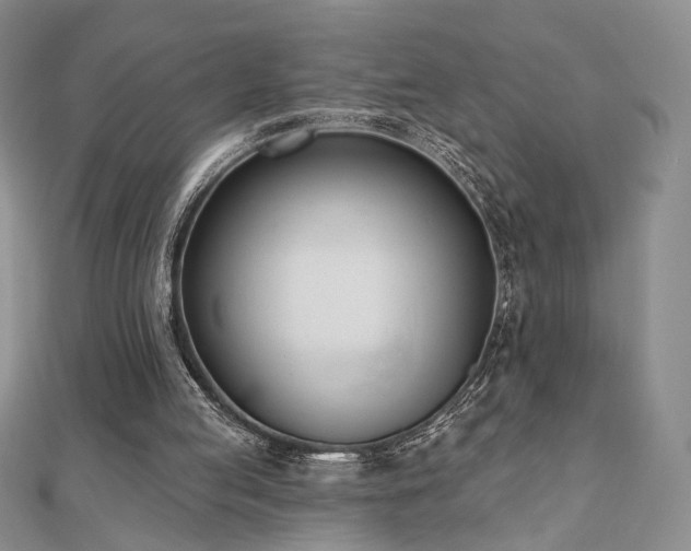 X0000110900053200906181331