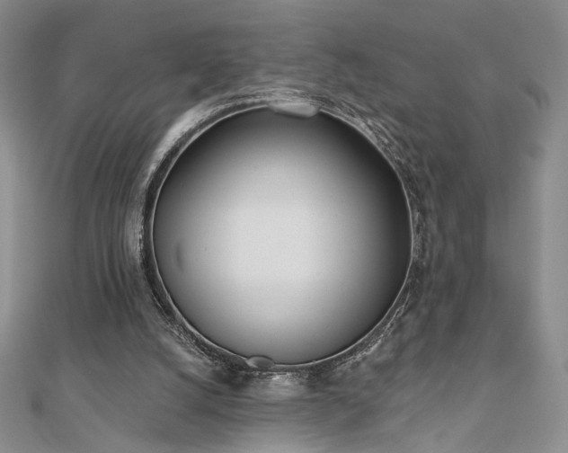 X0000110900056200906181331