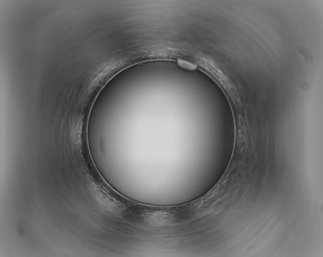 X0000110900058200906181331