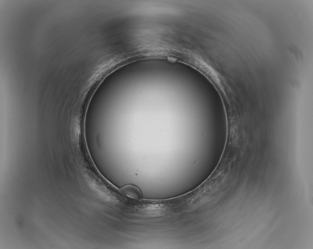 X0000110900059200906181331