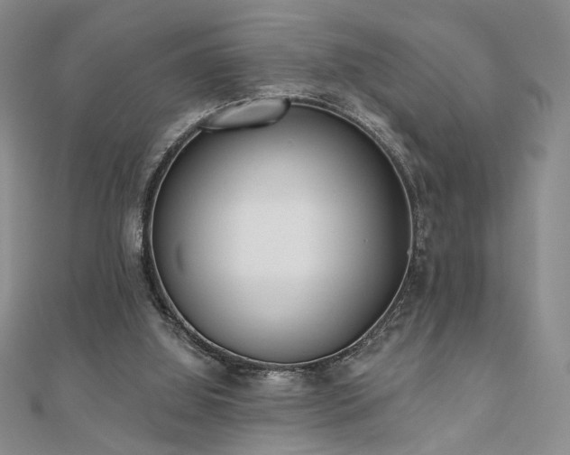 X0000110900060200906181331