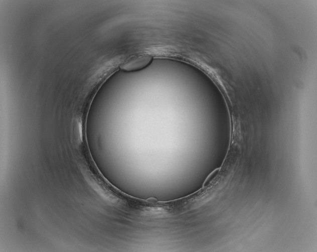 X0000110900061200906181331
