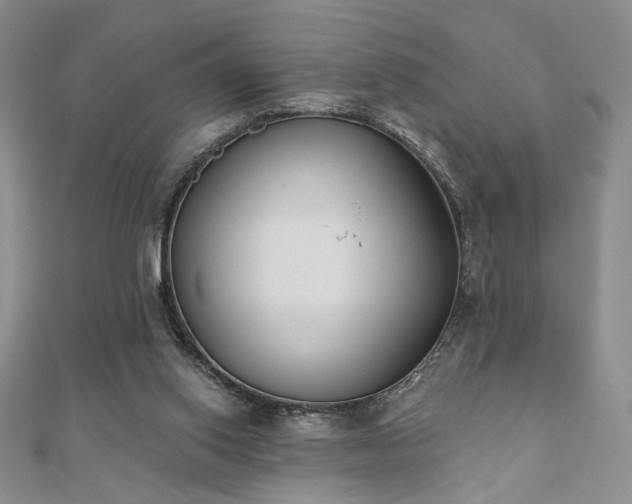 X0000110900062200906181331