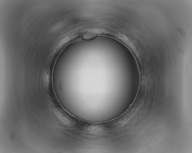 X0000110900063200906181331
