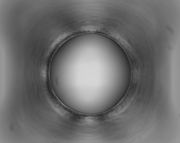 X0000110900064200906181331
