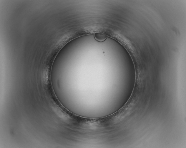 X0000110900065200906181331
