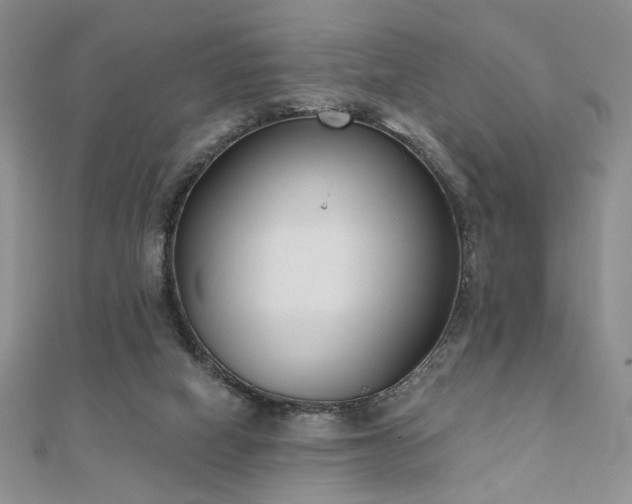 X0000110900066200906181331