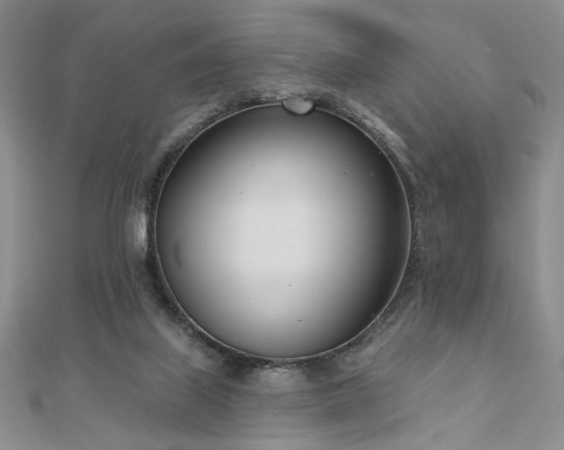 X0000110900067200906181331