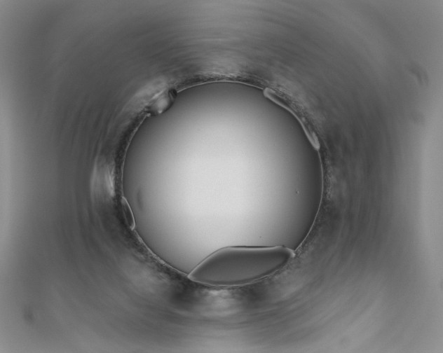 X0000110900068200906181331