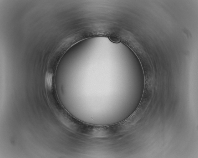 X0000110900070200906181331