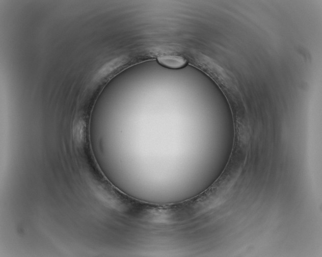 X0000110900071200906181331