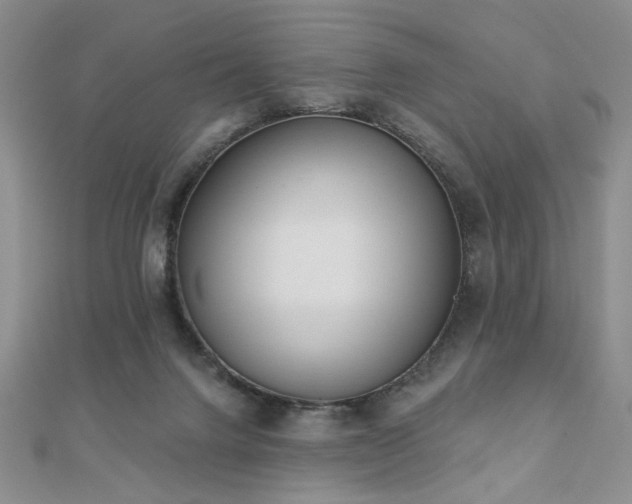 X0000110900072200906181331