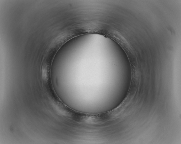 X0000110900074200906181331