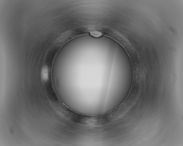 X0000110900075200906181331