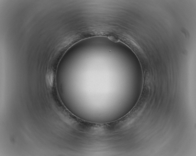 X0000110900076200906181331