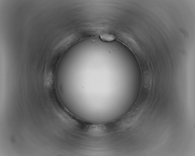 X0000110900077200906181331
