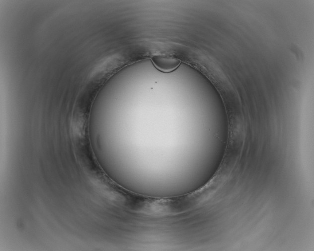 X0000110900078200906181331
