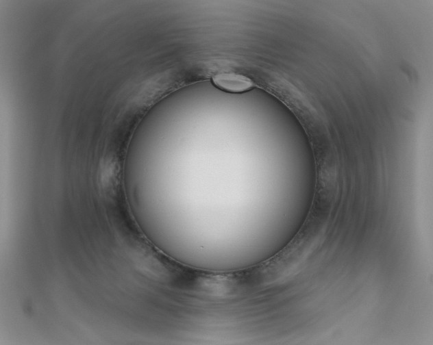 X0000110900079200906181331