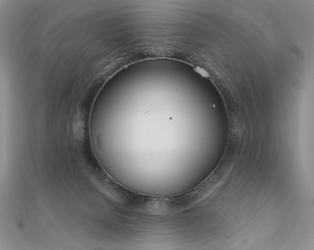 X0000110900080200906181331