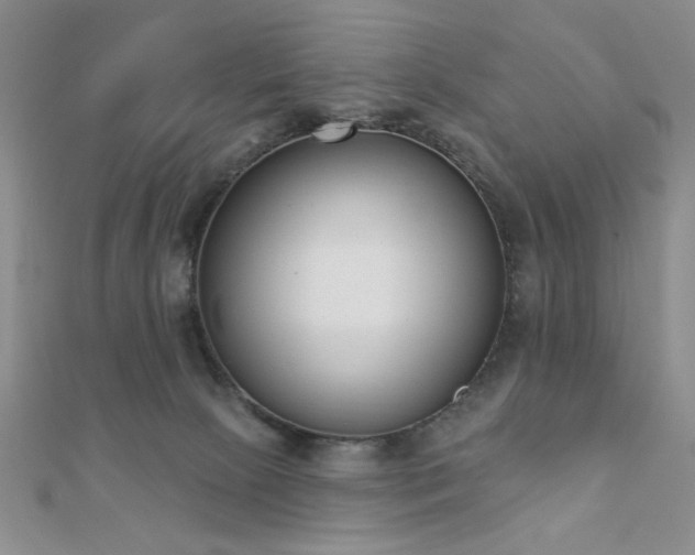 X0000110900081200906181331
