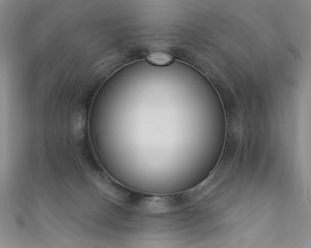 X0000110900082200906181331