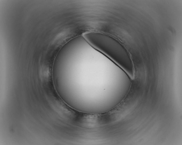 X0000110900084200906181331