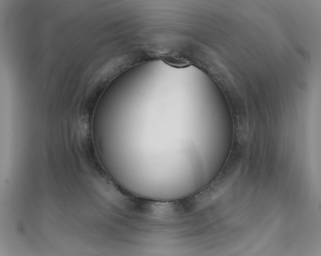 X0000110900085200906181331