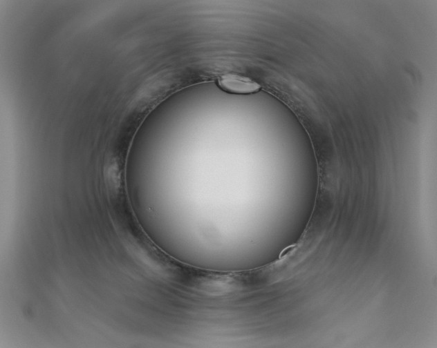 X0000110900086200906181331