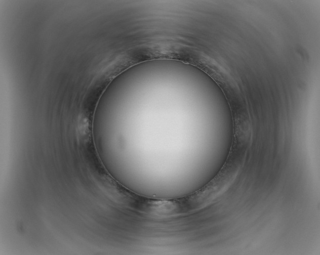 X0000110900087200906181331