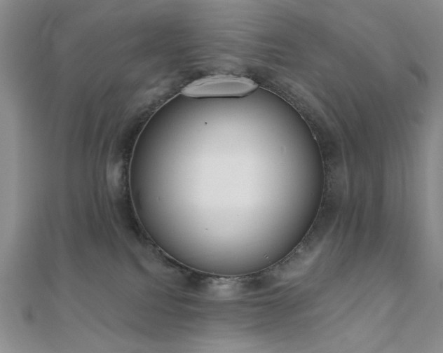 X0000110900088200906181331