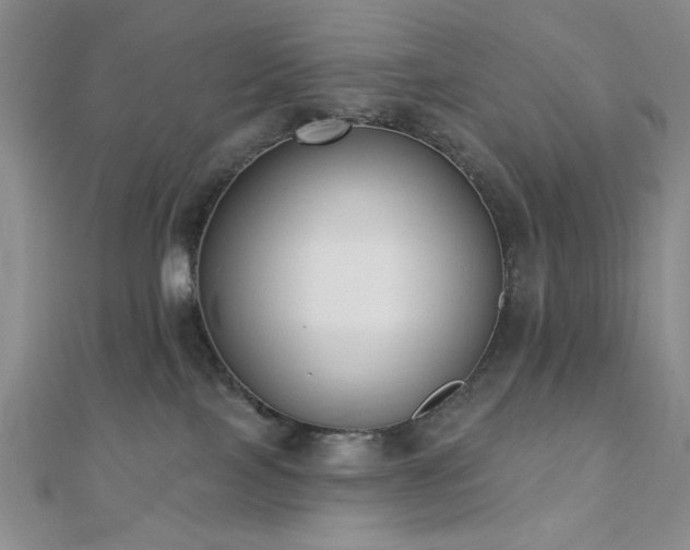 X0000110900089200906181331