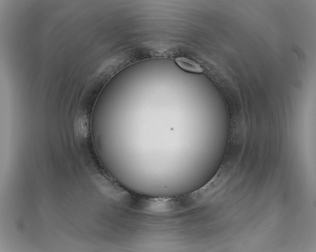 X0000110900090200906181331