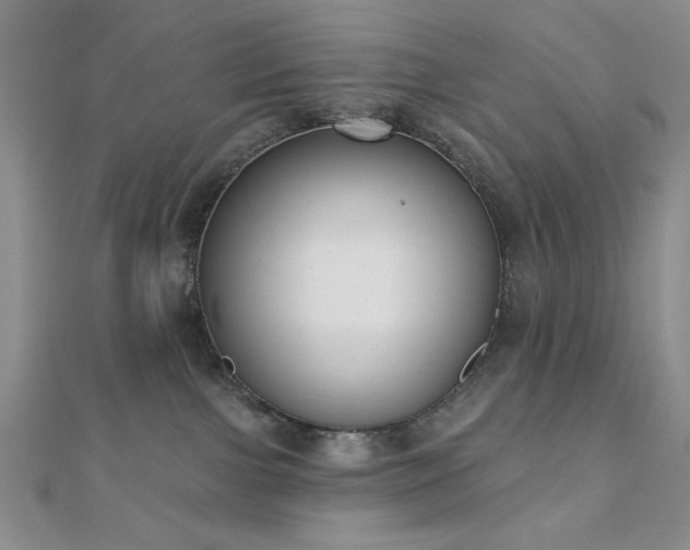 X0000110900091200906181331