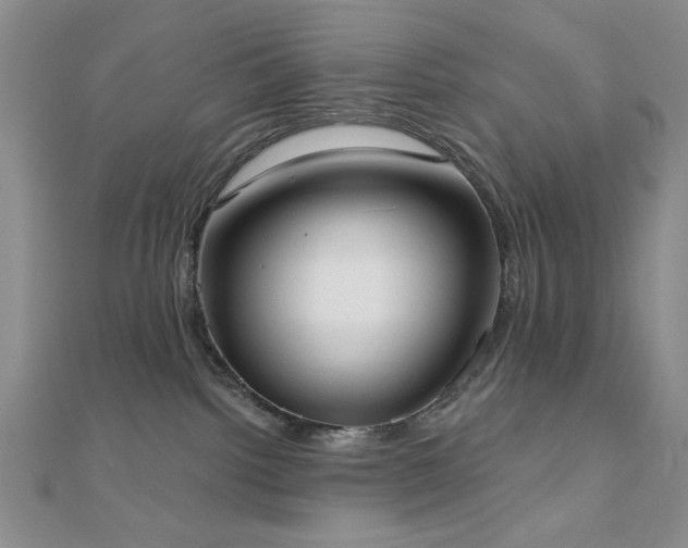 X0000110900092200906181331