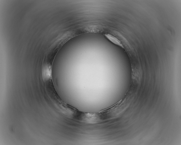 X0000110900095200906181331