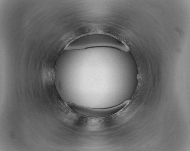 X0000110900096200906181331