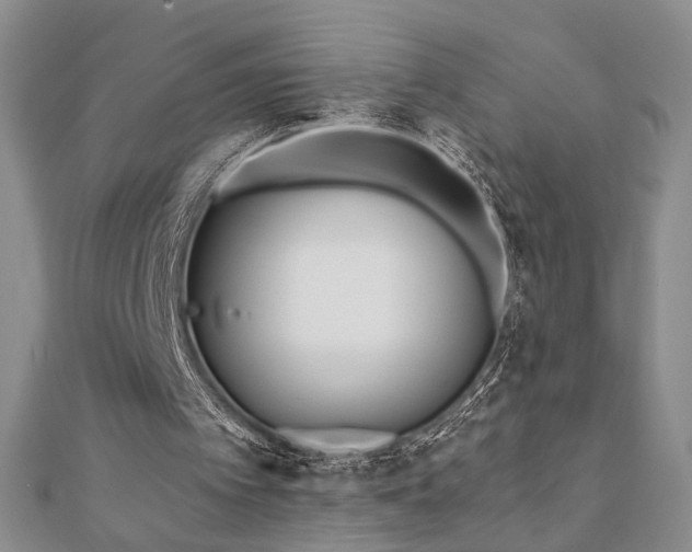 X0000110900097200906181331