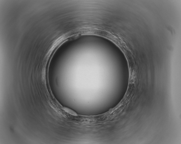 X0000110900099200906181331