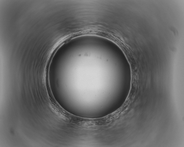 X0000110900100200906181331