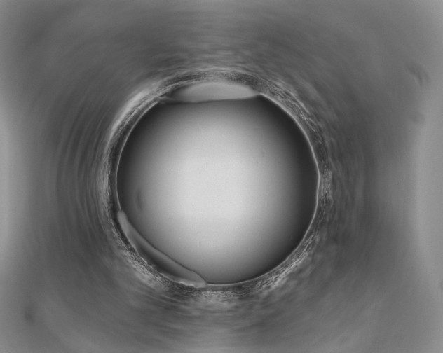 X0000110900101200906181331