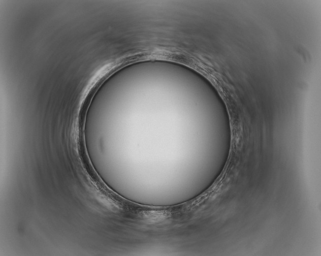 X0000110900102200906181331