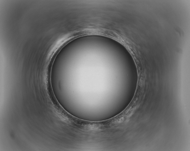 X0000110900103200906181331