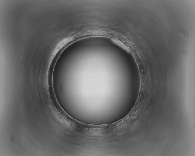 X0000110900104200906181331