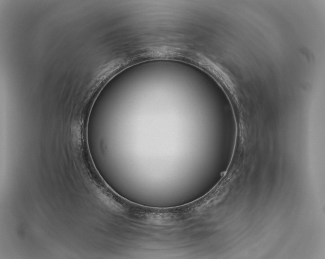 X0000110900105200906181331